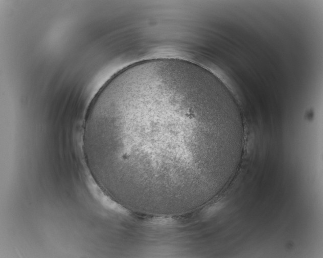 X0000112211094200908141452