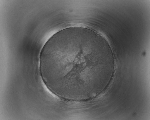 X0000112211095200908141452