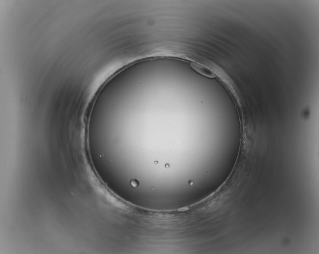 X0000112211096200908141452