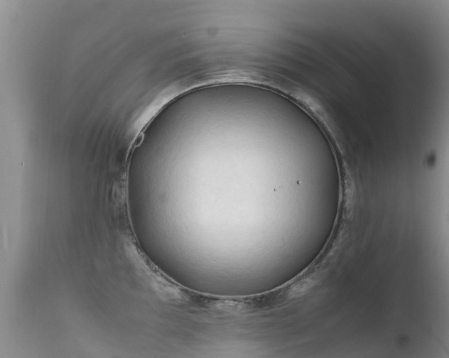 X0000112211097200908141452