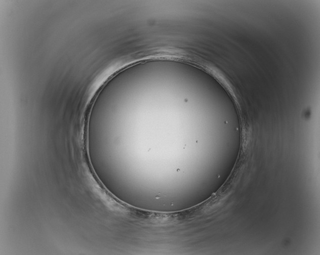 X0000112211099200908141452