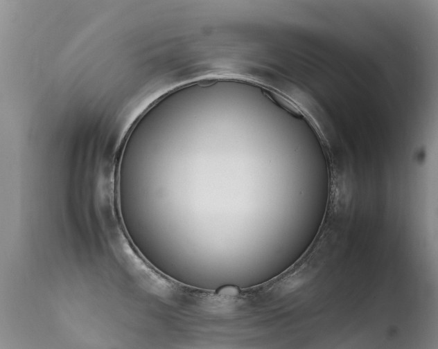 X0000112211100200908141452