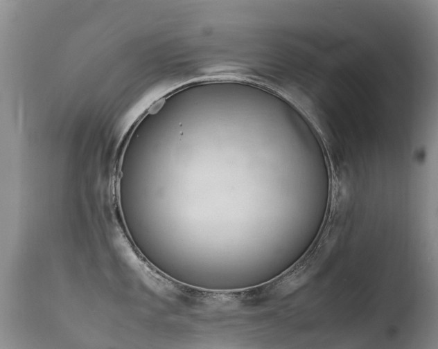 X0000112211101200908141452