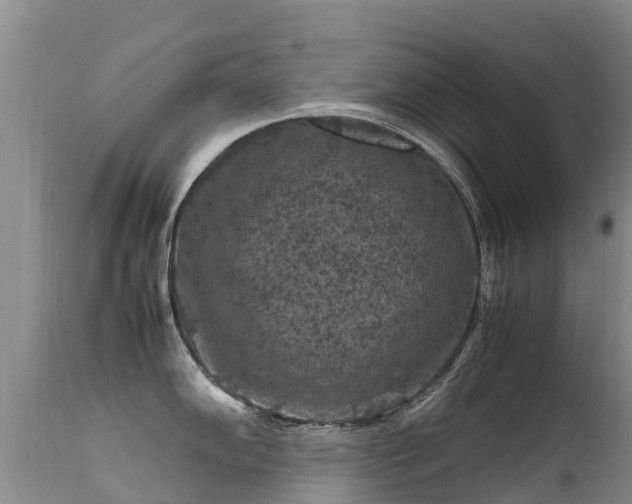 X0000112211102200908141452