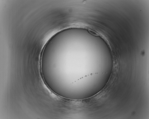 X0000112211103200908141452