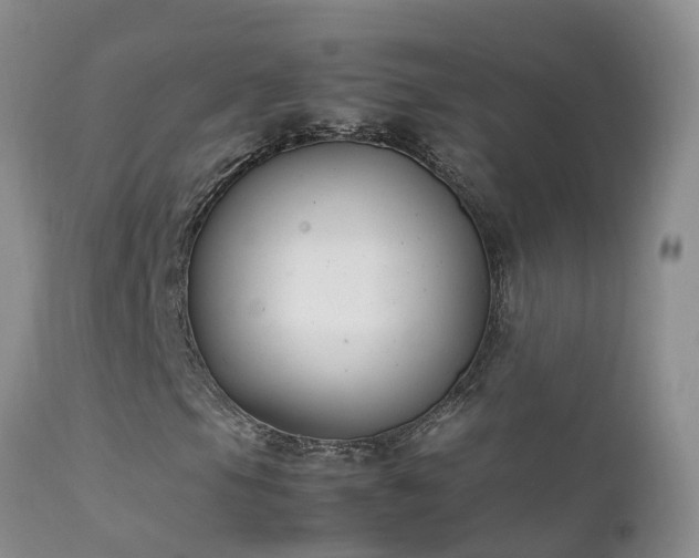 X0000112211105200908141451