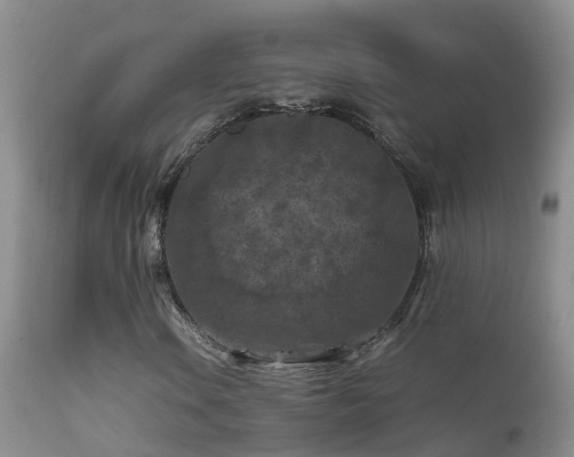 X0000112211106200908141451