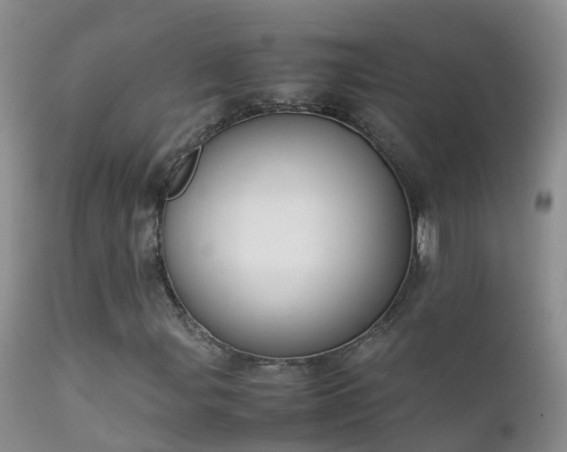 X0000112211107200908141451