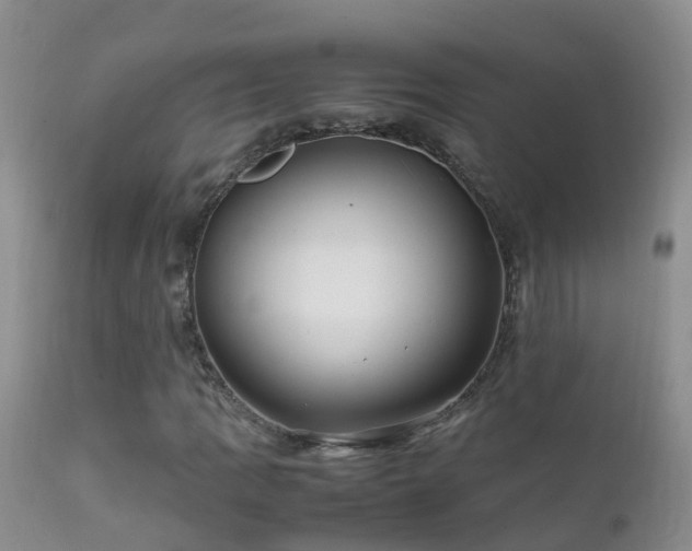 X0000112211109200908141451