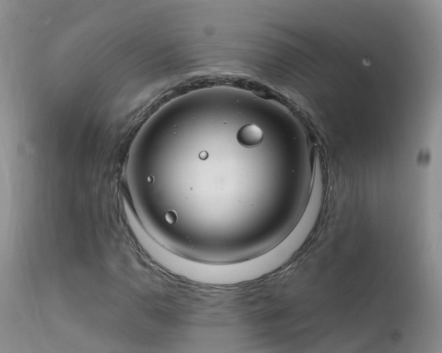 X0000112211110200908141451