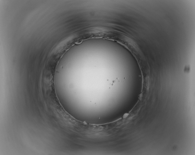 X0000112211111200908141451