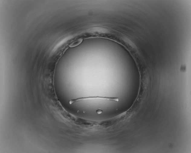 X0000112211112200908141451