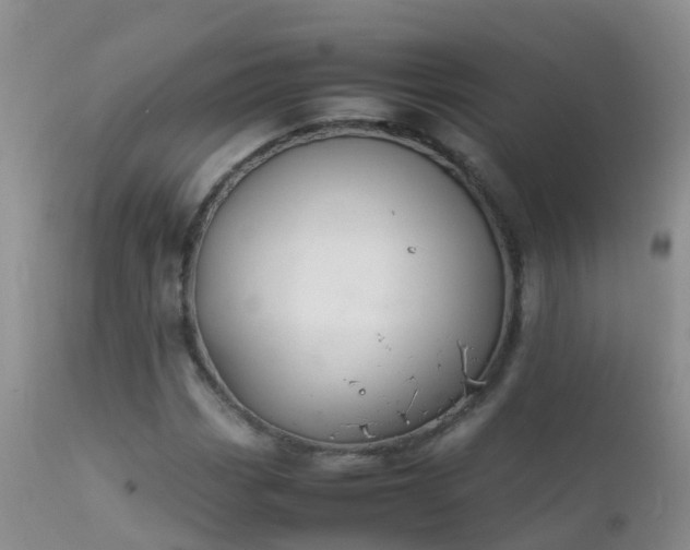 X0000112211113200908141451