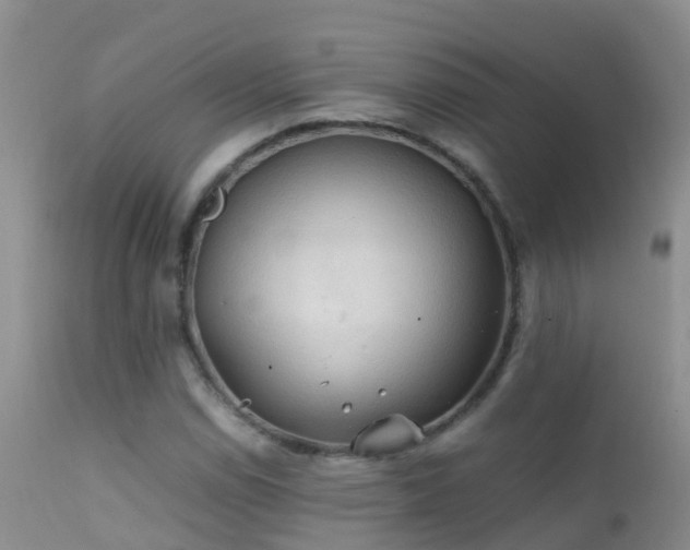 X0000112211114200908141451