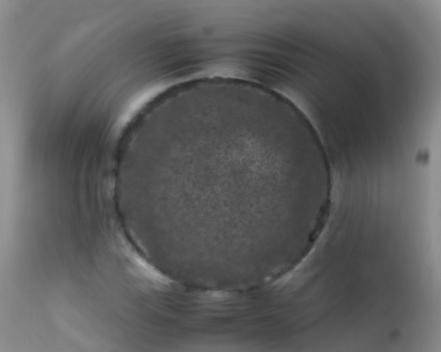 X0000112211115200908141451