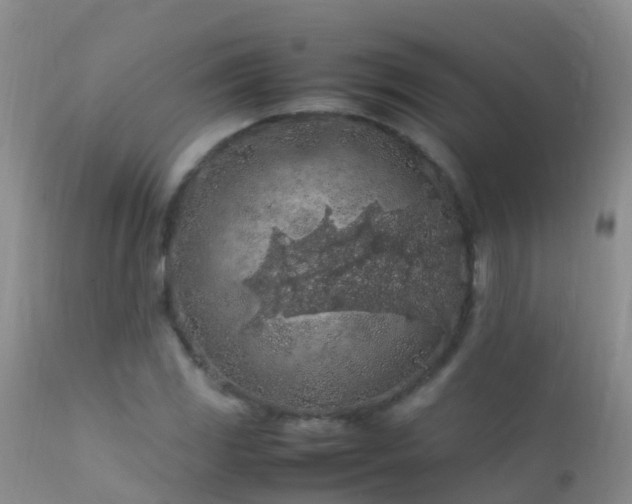 X0000112211117200908141452