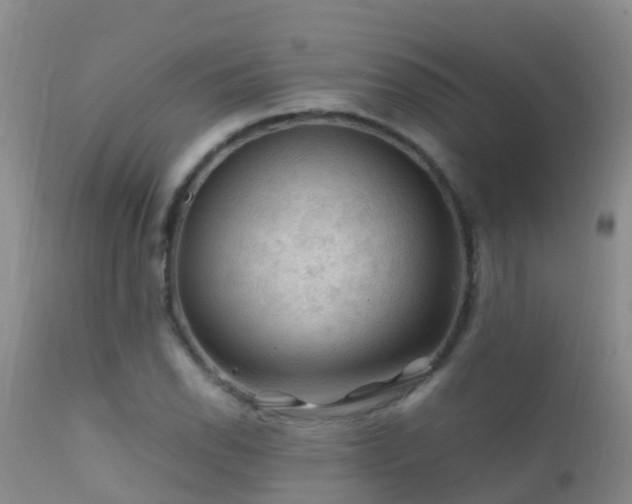 X0000112211118200908141452