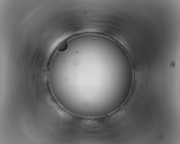 X0000112211119200908141452