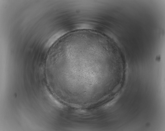 X0000112211121200908141452