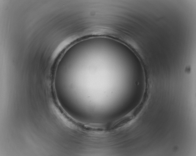 X0000112211122200908141452