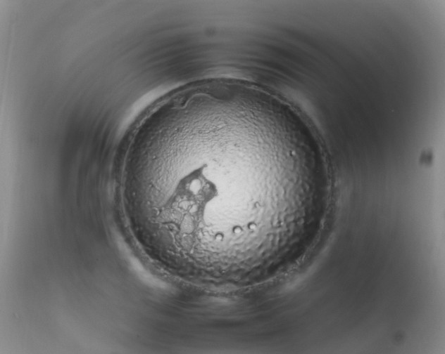 X0000112211125200908141452