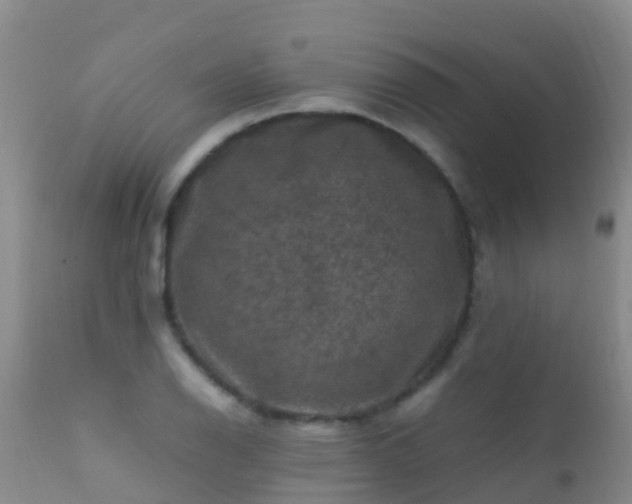 X0000112211126200908141452