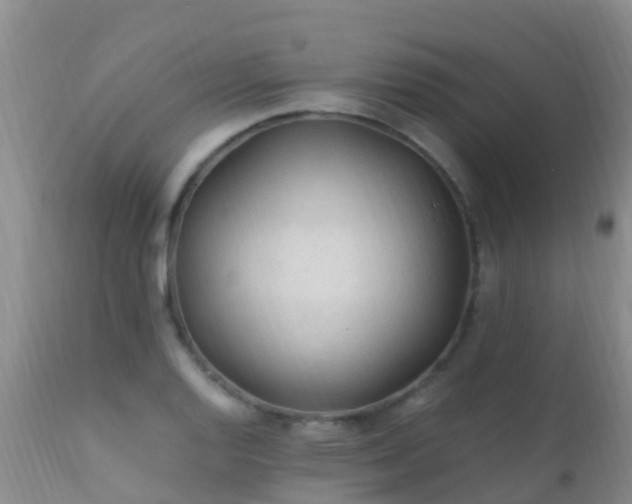 X0000112211128200908141452