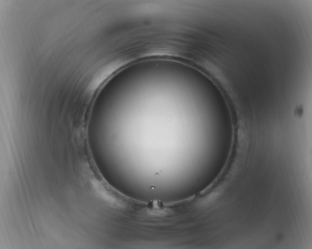 X0000112211129200908141452