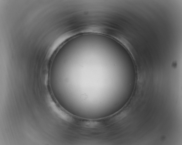 X0000112211131200908141452