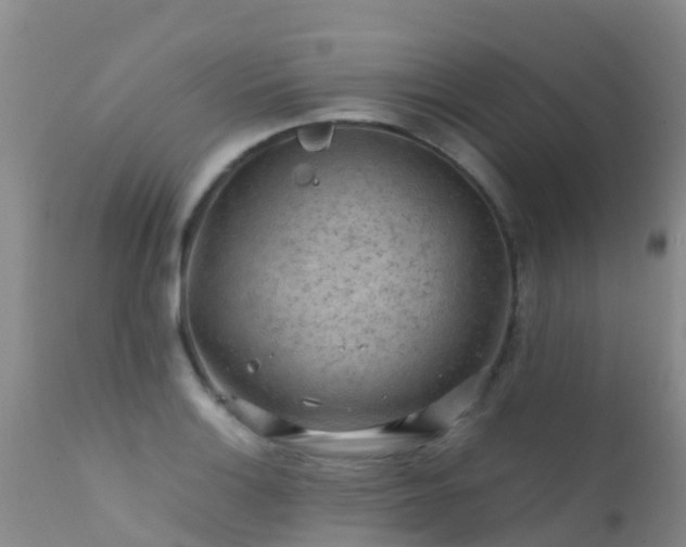 X0000112211132200908141452