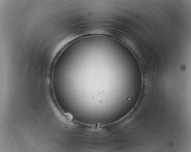 X0000112211133200908141452