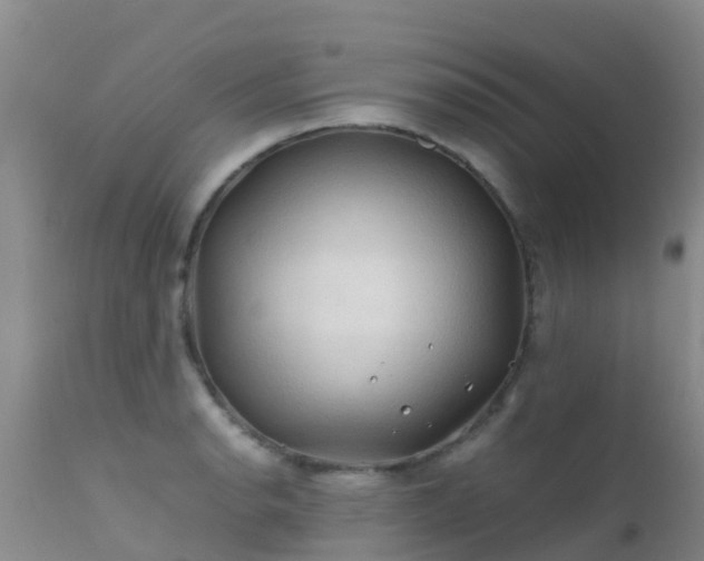 X0000112211134200908141452