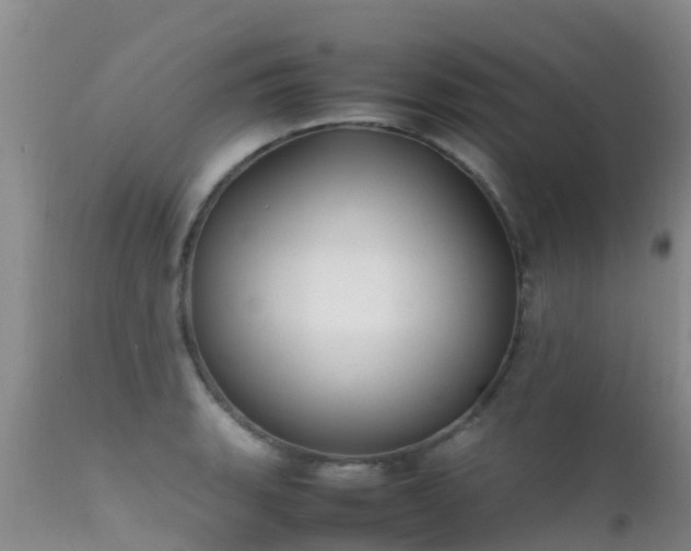 X0000112211135200908141452