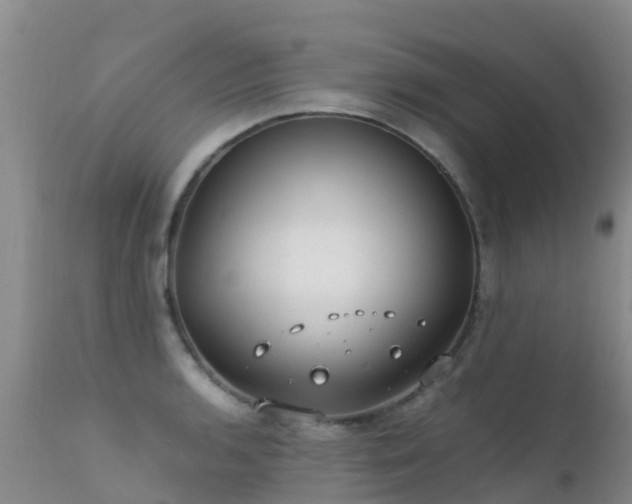 X0000112211136200908141452