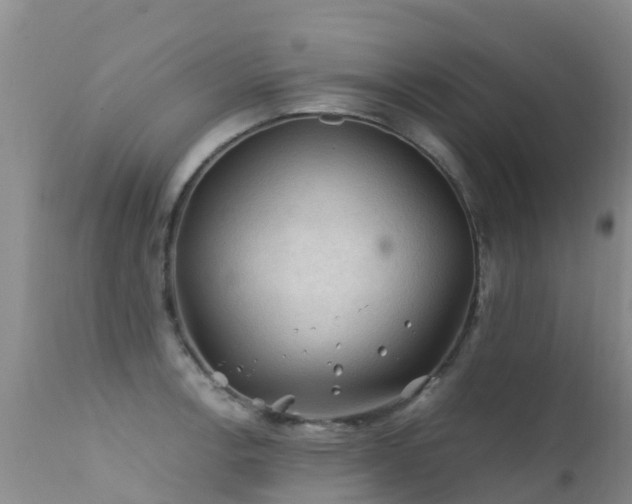 X0000112211138200908141452