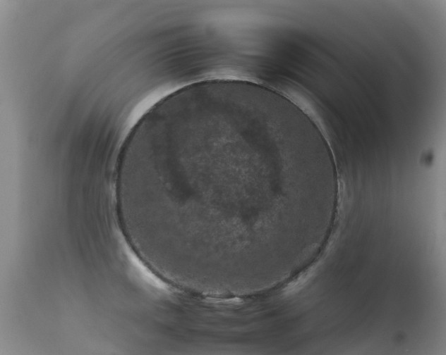 X0000112211141200908141452