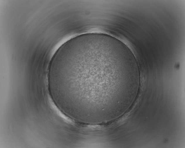 X0000112211142200908141452