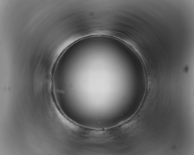 X0000112211143200908141452