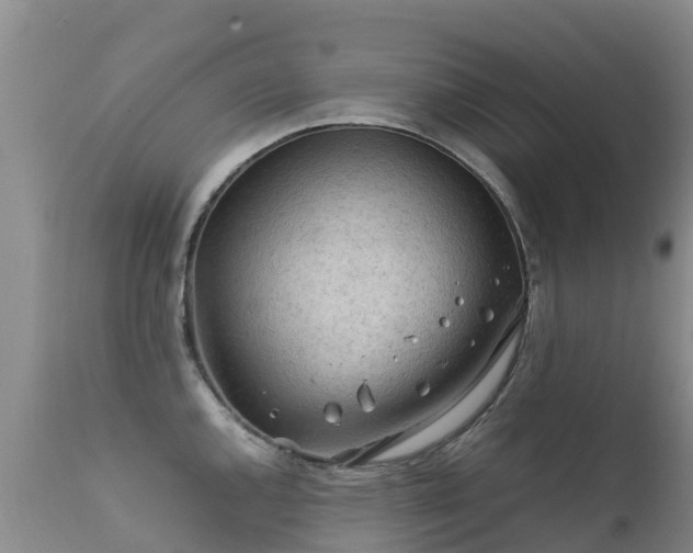 X0000112211144200908141452