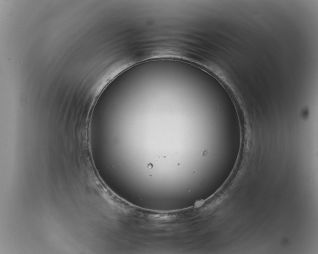 X0000112211145200908141452