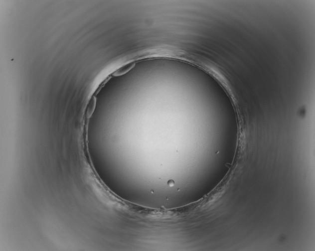 X0000112211146200908141452