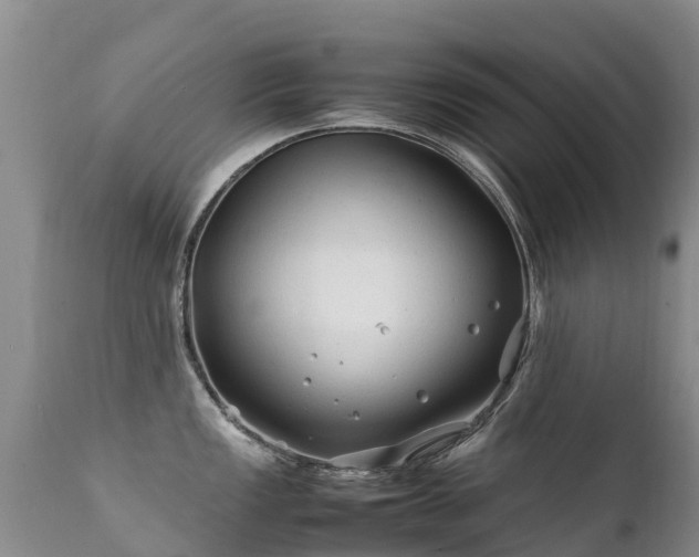 X0000112211149200908141452