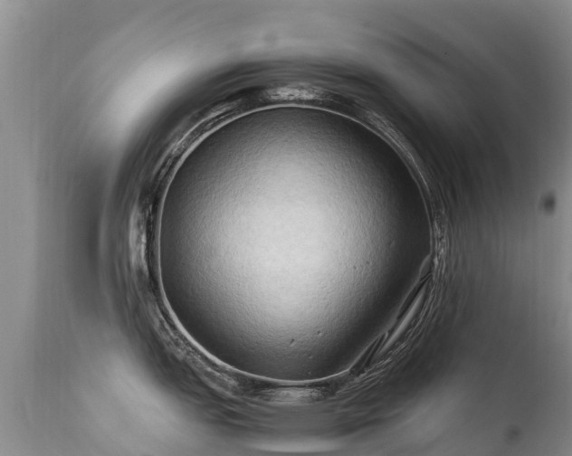 X0000112211151200908141452