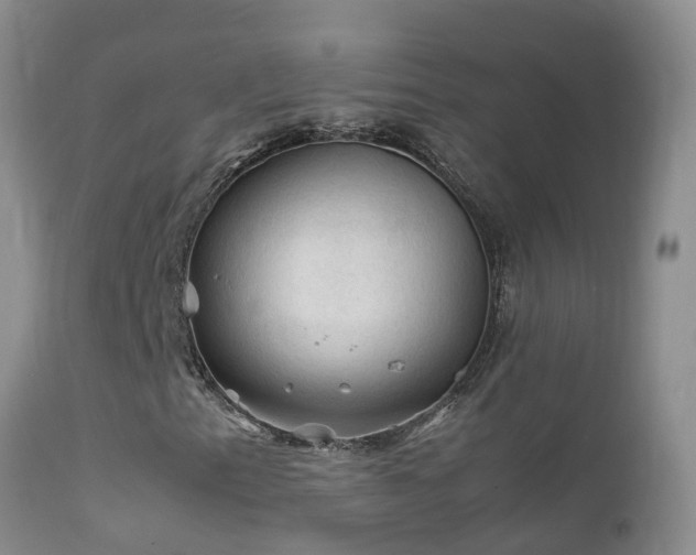 X0000112211153200908141451