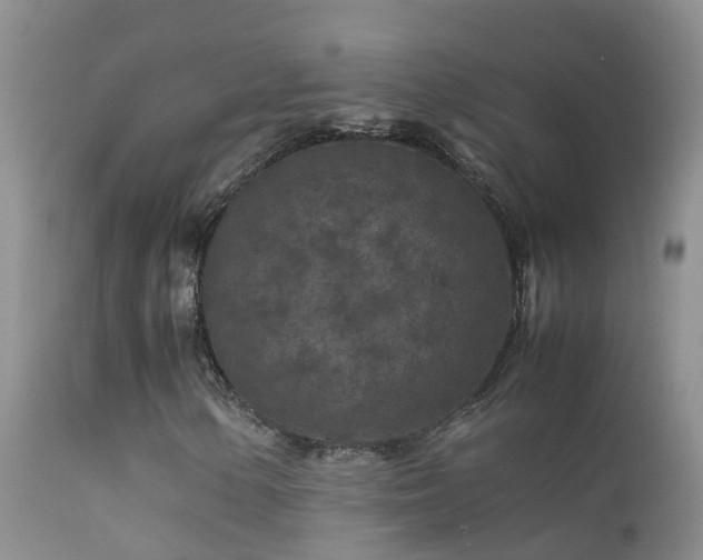 X0000112211154200908141451