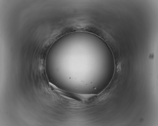 X0000112211156200908141451