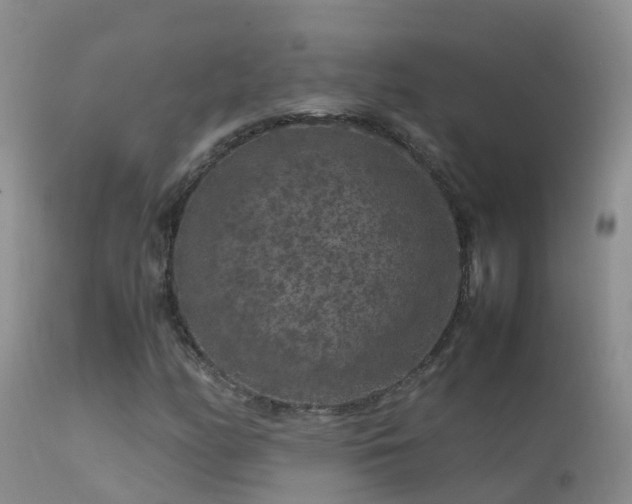 X0000112211158200908141451