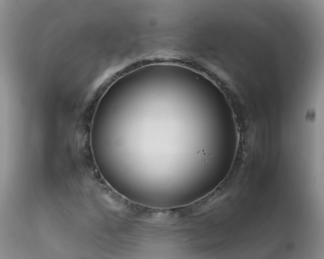 X0000112211160200908141451