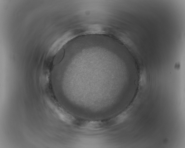 X0000112211161200908141451