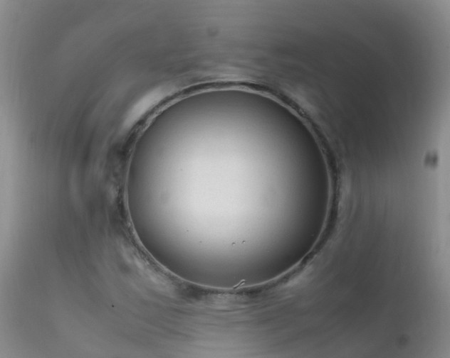 X0000112211163200908141451